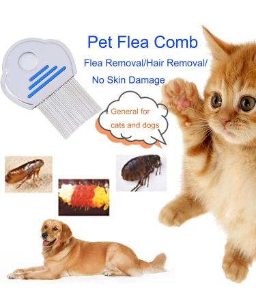 Peigne Anti Poux 6 Pi ces Double Face Peigne Dents Peignes D limination des Poux Animaux Peigne Poux Peigne Poux M tal Chiens Peigne Poux pour Toilettage et limination des Poux de Pellicules - Buy Online on GoSupps.com