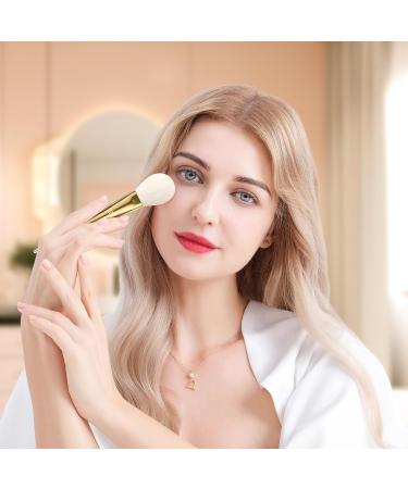 Ducare 15-Piece Makeup Brush Set with Luxury Holder | High-Quality Synthetic Brushes for Foundation Rouge & Eyeshadow | Perfect Gift Set - Buy Online on GoSupps.com