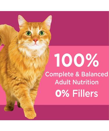 IAMS Proactive Health Dry Cat Food Adult - Urinary Tract Health - Chicken 3.18kg Bag Chicken 3.18 kg (Pack of 1) Urinary Tract - Buy Online on GoSupps.com