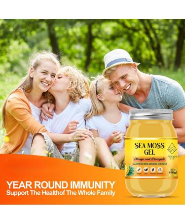 Mango & Pineapple Sea Moss Gel (500G) by ArganSea | Natural and Organic Made with Fresh Wildcrafted Irish Sea Moss from St Lucia | Dr Sebi Approved | 92 Vitamins Immune Boost Superfood - Buy Online on GoSupps.com