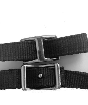 Majestic Ally Turquoise Nylon Padded Browband Headstall with Reins - Full Size - Buy Online on GoSupps.com