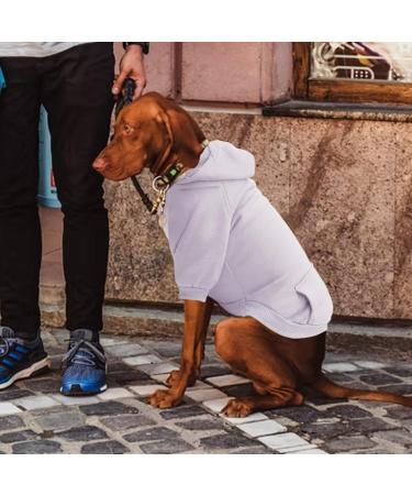 Amaone Waterproof Dog Coat - Winter Warm Jacket & Hoodie for Small to Medium Dogs - Fleece Pet Clothing with Bag - Ideal for Autumn & Winter - Buy Online on GoSupps.com