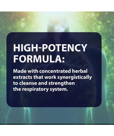 VEDIKROOTS NicoShield | Ayurvedic Herbal Supplement to Support Smoking Cessation | Herbal Support for Quit Smoking | 10+ Ingredients in 60 Veg Capsules - Buy Online on GoSupps.com