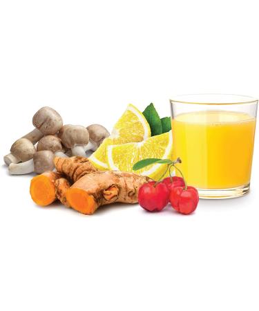 Buy Sunfood Organic Turmeric & Mushrooms 6.8 oz â€“ Superfood for Health & Wellness - Buy Online on GoSupps.com