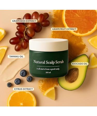 Gommage exfoliant naturel pour le cuir chevelu nettoyant et hydratant en profondeur formule douce base de plantes antipelliculaire limine les r sidus le s bum et les pellicules. 2PC - Buy Online on GoSupps.com