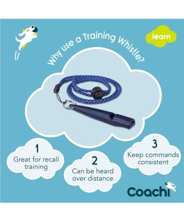 Coachi Training Whistle | Obedience & Recall | Strong Clear Sound | Lightweight & Compact | Adjustable Reflective Lanyard | Puppy & Dog Training Navy - Buy Online on GoSupps.com