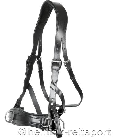 Heinick-Reitsport Professional Leather Cavesson with Bit Strap - ProLine Black for Warmblood/Thoroughbred | International Shipping Available - Buy Online on GoSupps.com