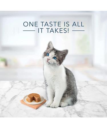 Tastefuls Natural Wet Kitten Food Chicken Entr e Pate 3 oz Multi Pack 6 ct. Multi Pack Kitten Chicken Pate - Buy Online on GoSupps.com