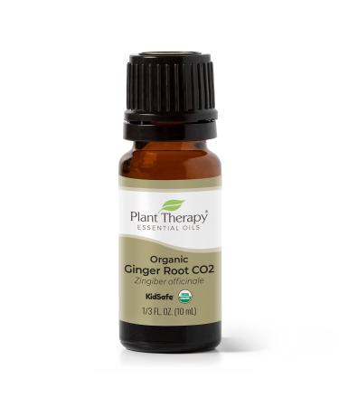 Plant Therapy Organic Ginger Root CO2 Essential Oil 10 mL (1/3 oz) 100% Pure Undiluted Natural Aromatherapy