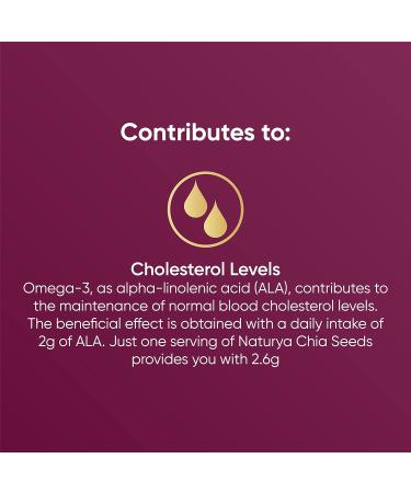 Naturya Organic Raw Chia Seeds 300g - Superfood Rich in Omega-3 & Fiber - Buy Online on GoSupps.com