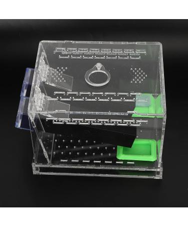 Cricket Keeper and Sturdy Cricket Keeper with Tubes for Home for Office (Large Size) - Buy Online on GoSupps.com