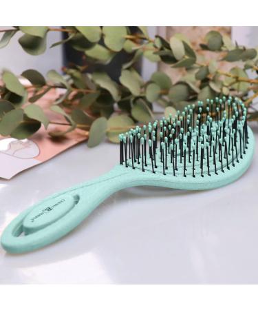 CHIARA AMBRA Bio Friendly Detangling Brush - Vegan Turquoise Vent Hairbrush for Thick & Curly Hair - Buy Online on GoSupps.com