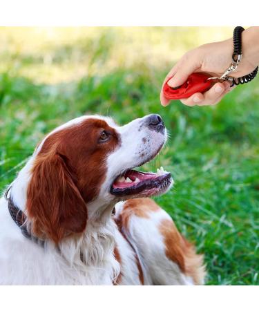 Profi Clicker Dog Training Kit - 16-Piece Set for Dogs Cats & Horses - Hand Loop & Big Button - Buy Online on GoSupps.com