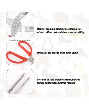 PEUTIER 14.8 Inch Reptile Feeding Tongs Easy-Grip Snake Feeding Tongs Non-Skidding Extra Long Tweezers for Terrarium Axolotl Bearded Dragon Ball Python Tank Accessories - Buy Online on GoSupps.com