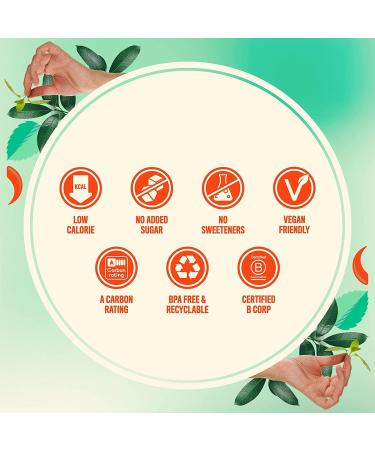  NIX AND KIX Nix & Kix Cucumber and Mint (24 x 250 ml) No added sugar or sweeteners Low calorie Naturally sparkling low-carb beverage - Buy Online on GoSupps.com