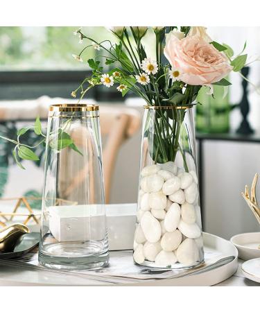 LONTOM Natural White Pebbles 2.2lb Decorative Stone Polished Gravel River Rocks for Plants Home DIY Decor Aquarium Gravel Vase Fillers Fairy Garden Crafting Animal Habitat Medium - Buy Online on GoSupps.com