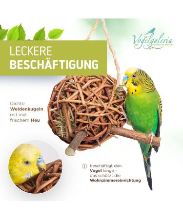 Vogelgaleria 2 Set Business Hay Pasture Ball 10cm - Best Budgie Toy for Climbing & Nibbling | Handmade Bird Accessories - Buy Online on GoSupps.com