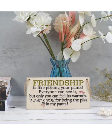 Friend Gifts For Women Under $15 | Funny Friendship Plaque for Her | Special BFF Gift | Prime Eligible - Buy Online on GoSupps.com