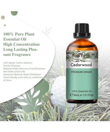 Cedarwood Essential Oil 30ML - Premium Grade Pure Oil for Diffusers, Aromatherapy, and Candle Making - Buy Online on GoSupps.com