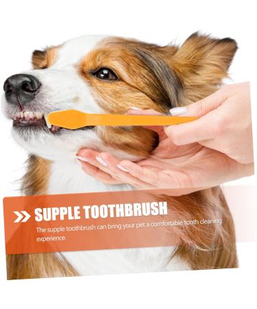 Housoutil 30 pcs Cat Small Cleaning Oral Tooth Nylon Portable Handheld Dual-head Dog Teeth for Pets Pet Clean 1 count (Pack of 1) Assorted Colorx3pcs - Buy Online on GoSupps.com