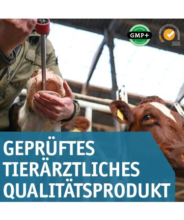 Vetmarkt24 Bolus PHOSPHOR in pack of 8 to support the phosphoric footprint of dairy cows - Buy Online on GoSupps.com