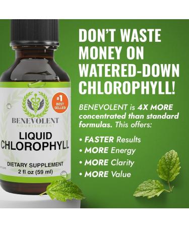 Chlorophyll Liquid Drops - Energy Boost & Immune Support | Internal Deodorant | Altitude Sickness Relief | Premium Quality Natural Formula | Minty Taste | 2X Absorption - Buy Online on GoSupps.com