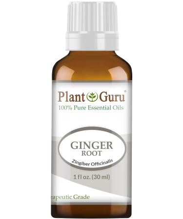 Fresh Ginger (Root) Essential Oil 1 oz / 30 ml 100% Pure Undiluted Therapeutic Grade for Skin Body and Hair Growth. Perfect for DYI Soap Making and Aromatherapy Diffuser.
