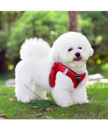 Buy Red Padded Dog Harness for Small Dogs | Comfortable XS Puppy Harness - Shop Now! - Buy Online on GoSupps.com