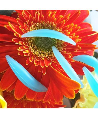 PERMANIA Reusable Lash Lifting Shield Pads Silicone Lash Shields for Bottom Lashes Reusable Lash Lifting Shield | Cruelty-Free | for a Lower Lash Lift and Lower Lash Tint Christmas Gifts - Blue - Buy Online on GoSupps.com