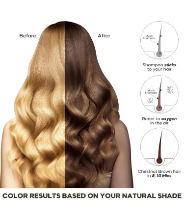 Dulele Dark Brown Hair Dye Shampoo - Instant Color for Gray Hair | Herbal Formula for Women & Men - Buy Online on GoSupps.com