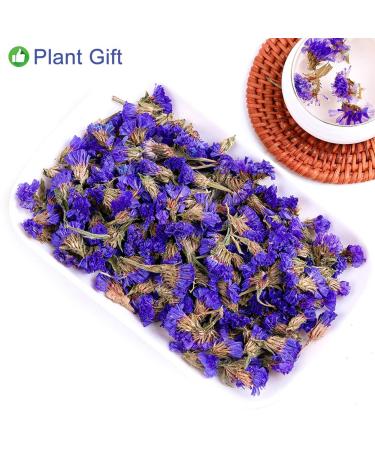 Buy Forget-Me-Not Flower Tea | Dried Myosotis Sylvatica | Herbal Health & Skin Care | 30g | International Shipping - Buy Online on GoSupps.com