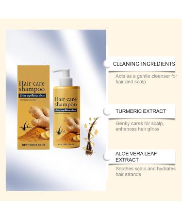  ZLHHRZJX Ginger hair care shampoo against hair loss and dandruff ginger shampoo against hair loss improves split ends regulates the production of - Buy Online on GoSupps.com