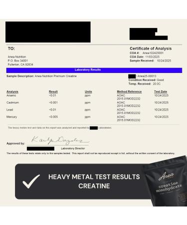 Anea Creatine Monohydrate - Unflavored | 5g Creapure per Serving | Supports Muscle Energy Strength & Recovery | Pure & Filler-Free | Made in GMP Facility - Buy Online on GoSupps.com