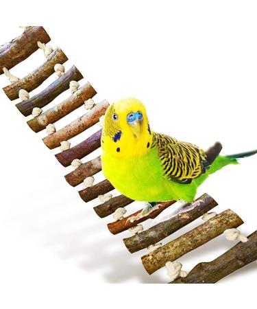 Meric Gecko Ladder Bridge - Raw Wood Hanging Climber for Lizards, Hamsters, Gerbils - Flexible Swinging Footway for Physical & Mental Stimulation - Entertainment for Small Pets - 1-pc - Buy Online on GoSupps.com