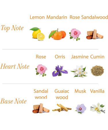 Yardley London Sandalwood Perfumed Talc 100g - Luxury Body Powder - Buy Online on GoSupps.com
