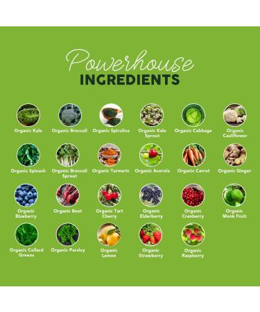 Paleovalley Organic Supergreens Powder - 23 Superfoods with Prebiotic Fiber for Energy and Immunity Support - No Cereal Grasses for Maximum Absorption - Pure Unflavored, 30 Servings Unflavored 7.84 Ounce (Pack of 1) - Buy Online on GoSupps.com