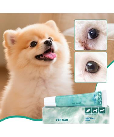  Generisch Pet Eye Ointment - Soothing Care for Your Pet's Eyes - 20g - Moisturizing Eye Cream for Dogs and Cats - Year-Round Protection Against Irritation  - Buy Online on GoSupps.com