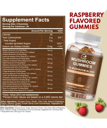 RTMGOB Mushroom Gummies 2500mg 10-in-1 Blend Turkey Tail Chaga Reishi Cordyceps & Lions Mane Organic Mushroom Extracts Nootropic Brain Booster for Focus Memory Clarity- 60 Count - Buy Online on GoSupps.com