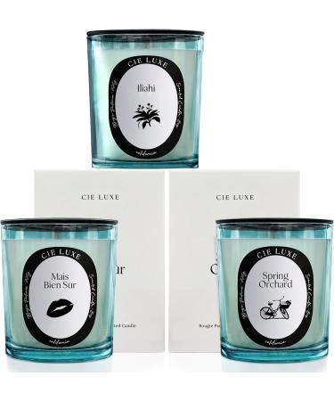 Shop Mais Bien S r Scented Candle 8 Oz - Luxury Aromatherapy for International Shipping - Buy Online on GoSupps.com