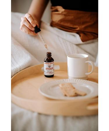 Hawaii Pharm Astragalus Extract Tincture 120ml Pure Powdered Root Immune Support Supplement Organic Astragalus Membranaceus for Natural Wellness - Buy Online on GoSupps.com