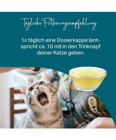 Medicat Dental Liquid Forte for Cats - Tartar Prevention & Fresh Breath - 150 ml | Daily Tooth Care Solutions - Buy Online on GoSupps.com