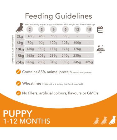 IAMS Puppy Small Medium Complete Dry Dog Food Chicken 3kg - For Healthy Growth 3 kg (Pack of 1) - Buy Online on GoSupps.com