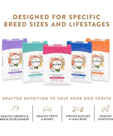 NUTRO ULTRA Small Breed Adult Dry Dog Food 8lb - Pack of 1 - Buy Online on GoSupps.com