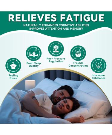 Ashwagandha Supplements with 150 mg of Extract(1500mg Herbs) for Energy Support Occasional Sleeplessness, Organic Ashwagandha Capsules for Men & Women - Gluten Free & Non-GMO, 60 Capsule - 1 Mo Supply 60 Count - 1 Pack - Buy Online on GoSupps.com