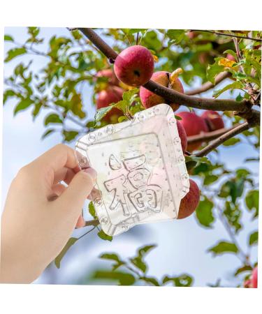 SUPVOX 8 Pcs Square Apple Fruit Melon Mold Square Mold Mould Cover Stereotypes - Buy Online on GoSupps.com