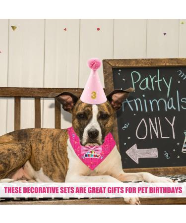 4-Piece Pet Birthday Party Supplies | Dog Triangle Scarf Hat & Gold Pink Decorations for Small Medium & Large Pets - Buy Online on GoSupps.com