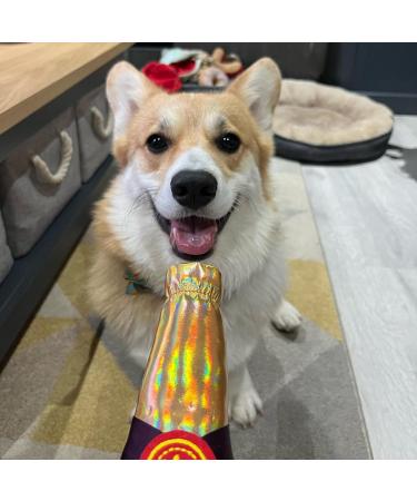 ChewFon Plush Dog Toys - Squeaky Cotton Stuffed Toys for Puppies & All Breeds - Fun Anti-Boredom Solutions - Buy Online on GoSupps.com