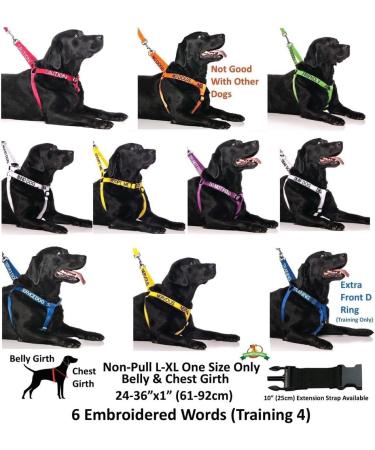 NERVOUS (Give Me Space) Yellow Colour Coded S M L Reflective Waterproof Fleece Lined Warm Dog Coats PREVENTS Accidents By Warning Others Of Your Dog In Advance (S) Small Coat - Buy Online on GoSupps.com