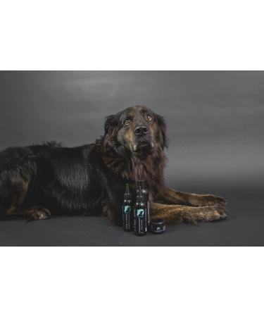Aran-Ya Anti-Fungal & Mite Emulsion for Dogs - 125ml Skin & Coat Care International Shipping - Buy Online on GoSupps.com