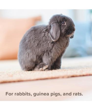 Beaphar - Anti-Mange Spray for Small Animals - For Rabbits Guinea Pigs & Rats - Kills Mange Mites Effectively - Vet-Strength Treatment - Easy-To-Use 75 ml Spray 75 ml (Pack of 1) Anti-Mange Spray - Buy Online on GoSupps.com